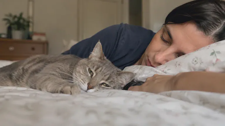 Algunos gatos, de todas maneras, pueden elegir dormir más cercas de sus dueños. (Imagen ilustrativa generada con IA)