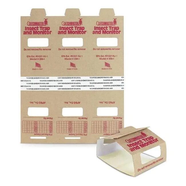 Brown Recluse Spider Traps by Catchmaster