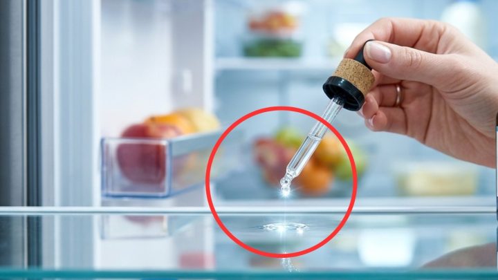 Glyseryni pitää jääkaapin hyllyt puhtaina ja huurtumattomina jopa vuoden