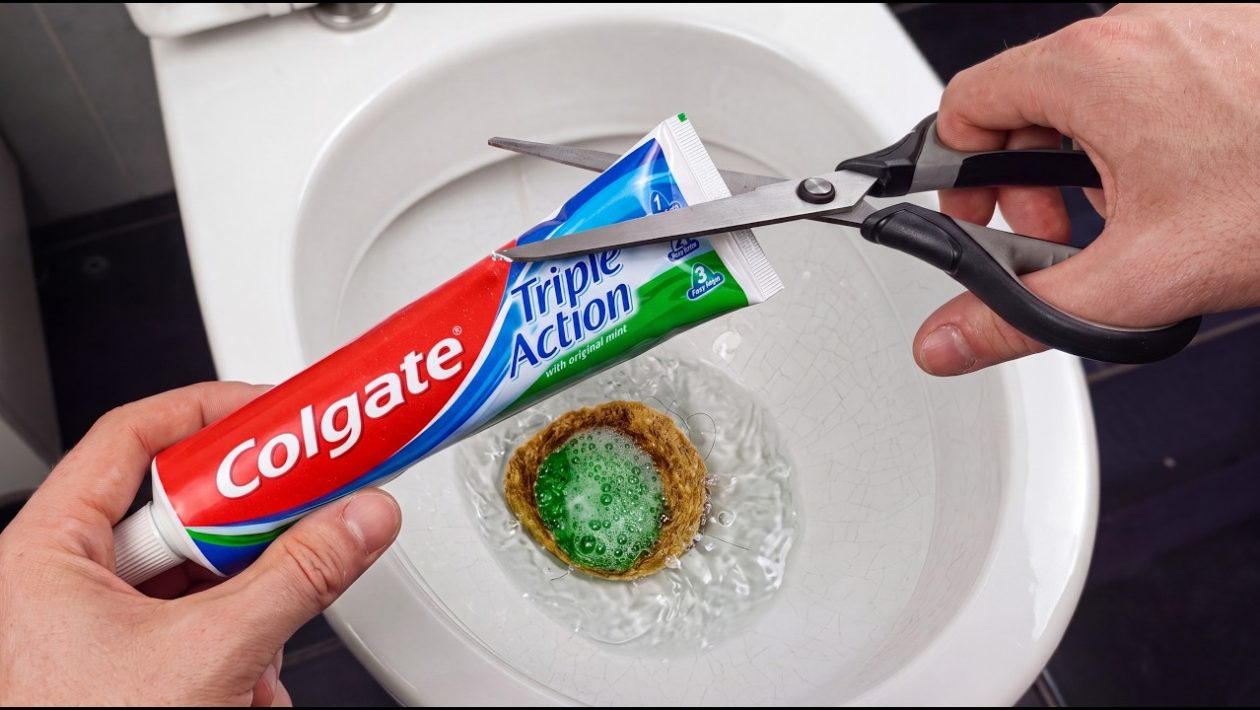 Näin pidät WC-pöntön raikkaana pitkään: Nerokas niksi hammastahnalla
