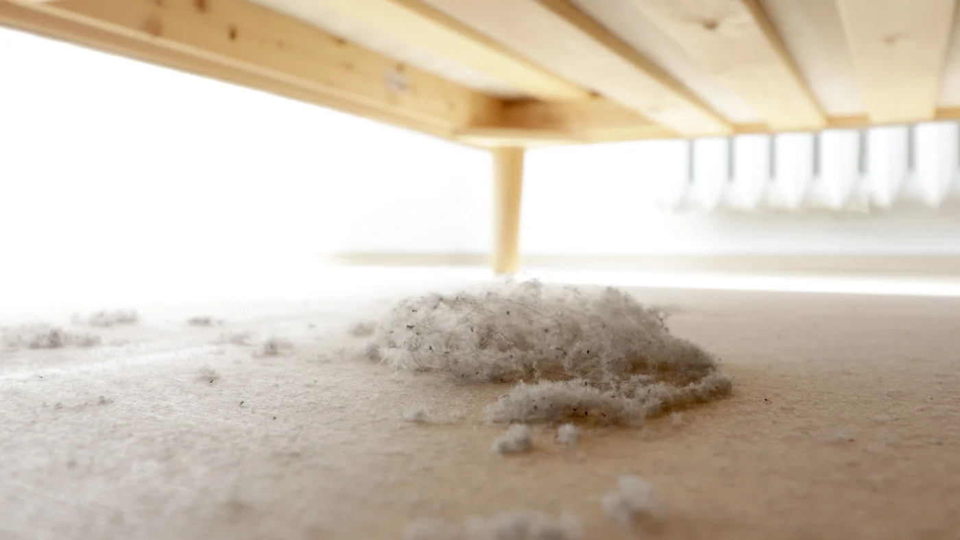 Dust under bed