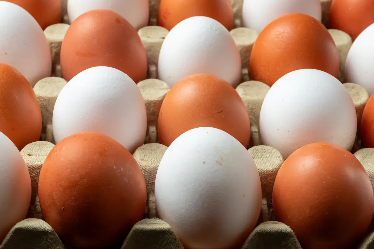 Huevos