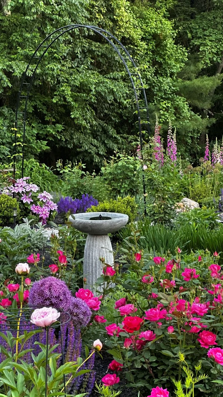 perennial border, bird bath, perennial garden, blooms, flowers,