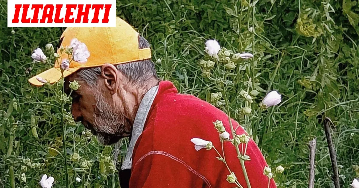 Poliisi etsii 75-vuotiasta Kangasniemellä – asukkaita pyydetään tarkistamaan piharakennukset
