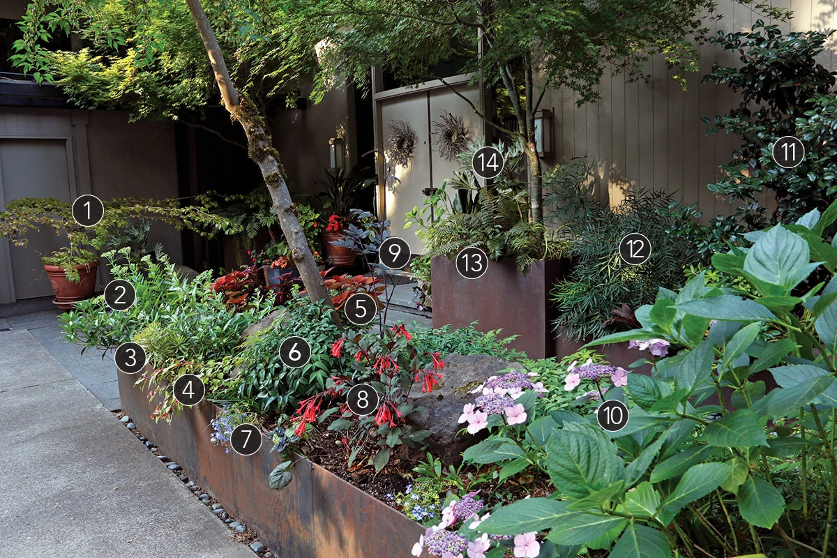 Robin Parsons front entry design