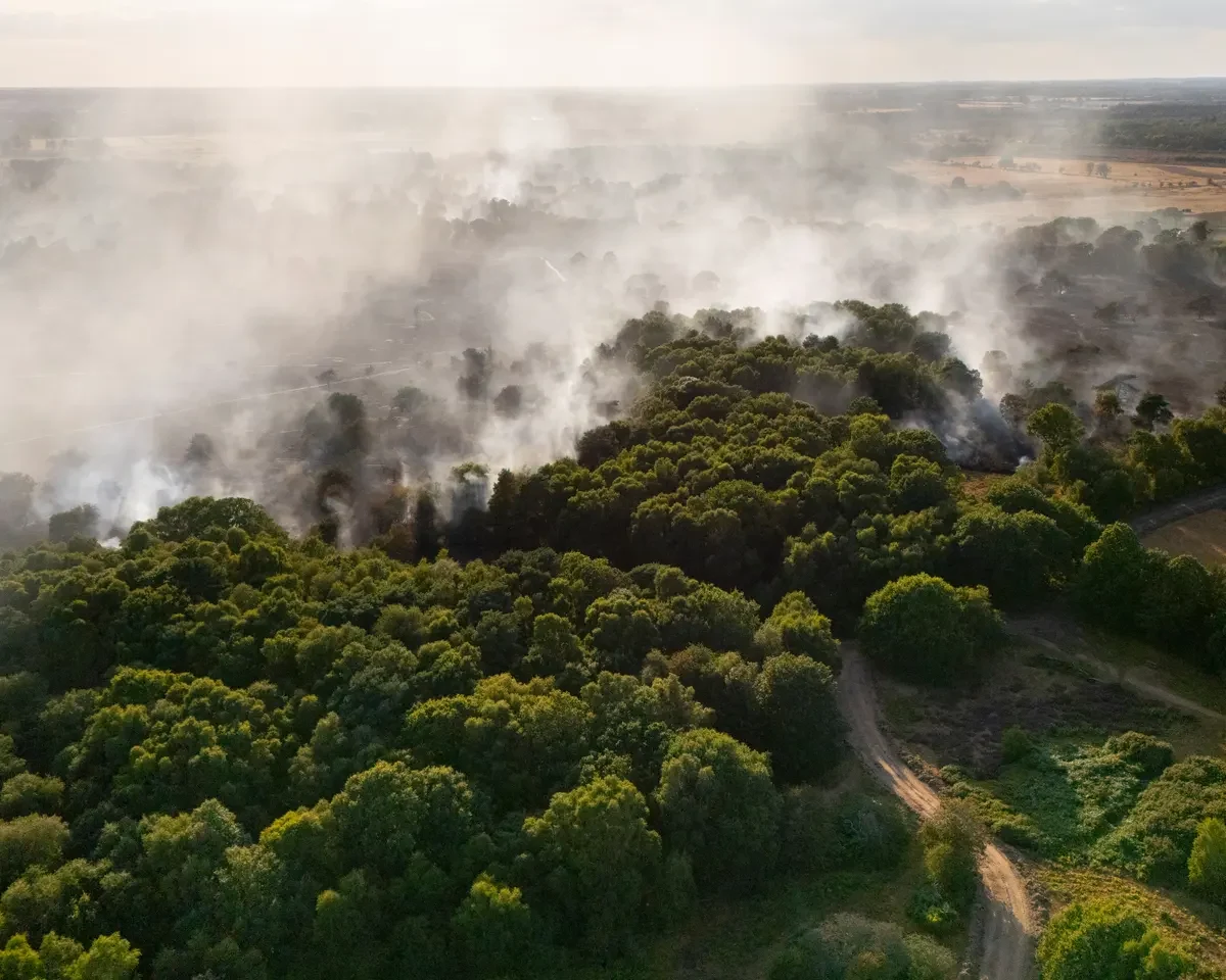 Smoke rising from a forested area of Dunwich Heath