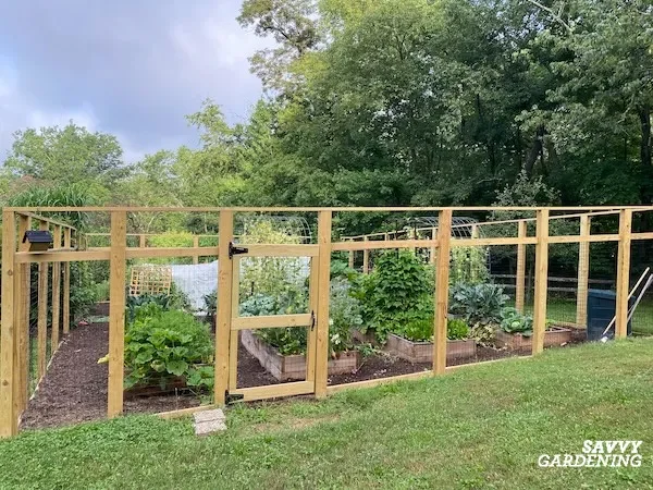 The best fencing to keep groundhogs out of garden