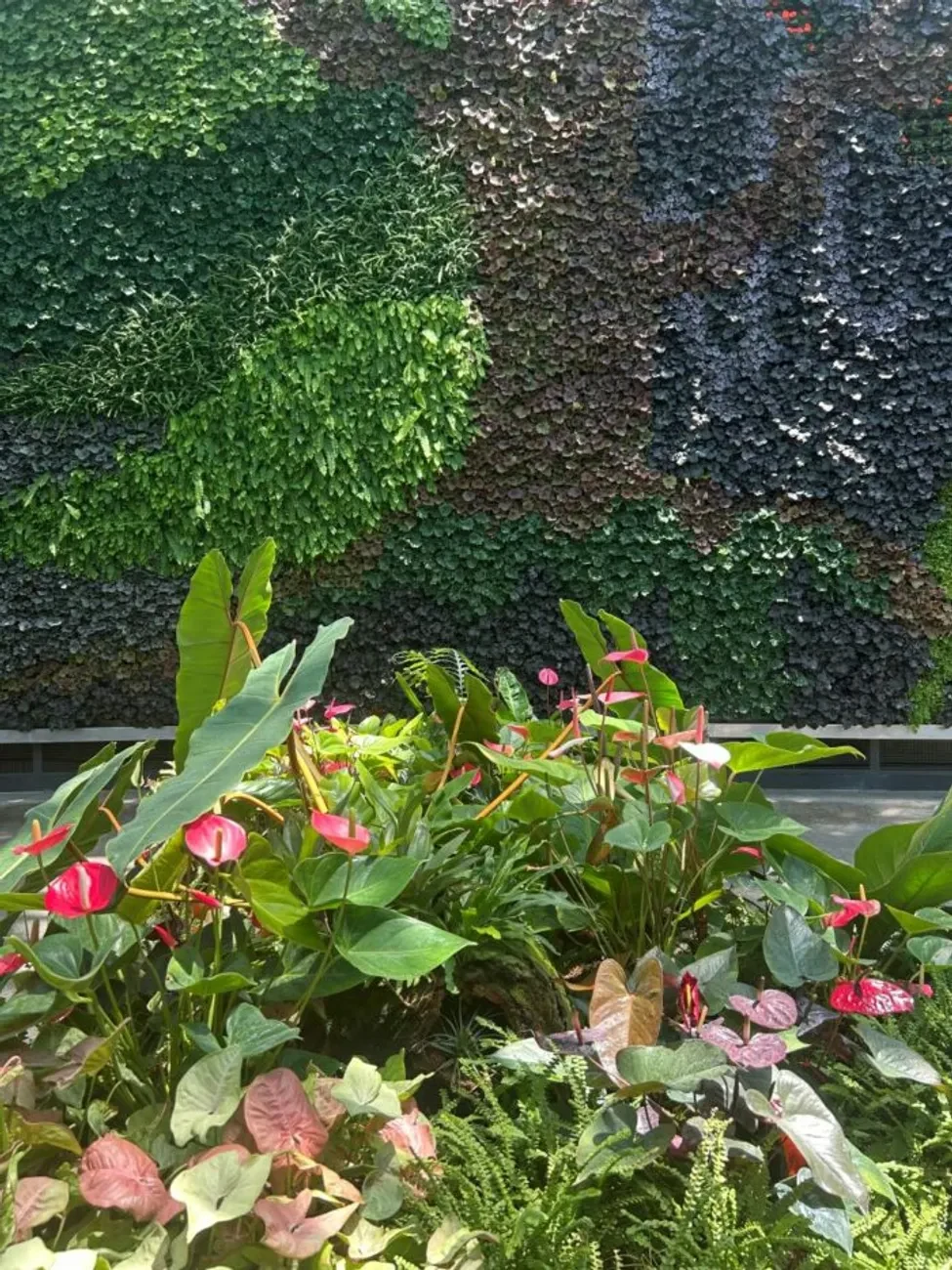 tropical plants, living wall, vertical garden