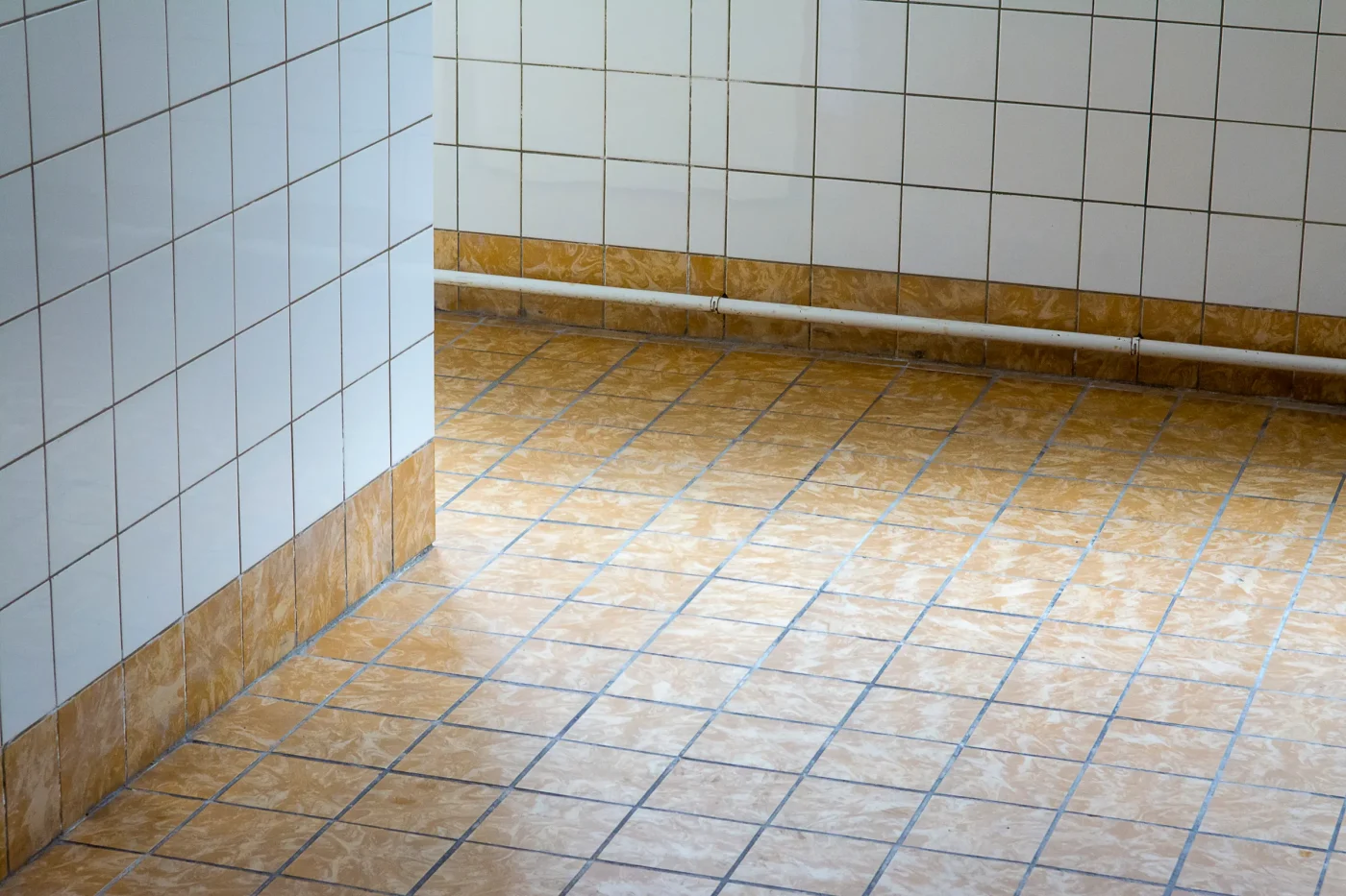 Myytti vastaan todellisuus: Poistaako höyry kaiken?